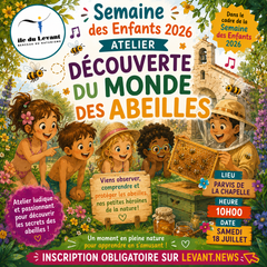 Découverte du monde des Abeilles 